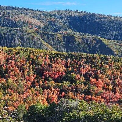 Private Tour in Heber Valley