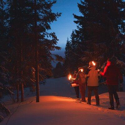 Winter Forest Walk and Campfire by Torchlight in Oslo