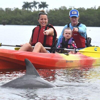 Mangrove Tunnels Kayak Tour (Photographer Included)- Marco Island