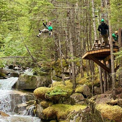 Grizzly Falls Ziplining Expedition