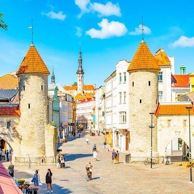 5 Hour Deluxe Shore Excursion in Tallinn from Cruise Port