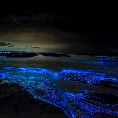 Bioluminescent Bay Adventure in Grand Cayman