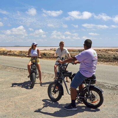 Electric Bike South Tour with Local Guide by Fatbike