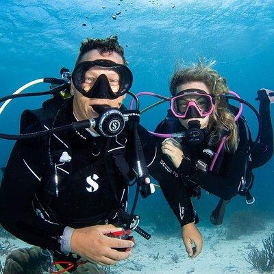 Private Shore Diving in Bonaire Marine Park with 2 Dives