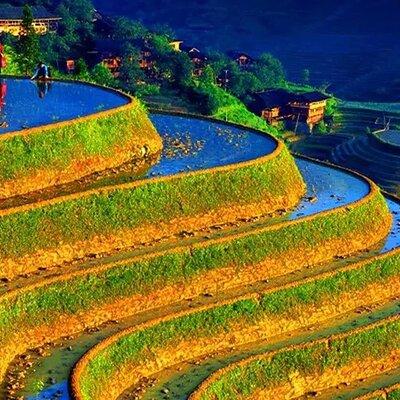 Small Group: Longji Rice Terraces & Minority Village Tour