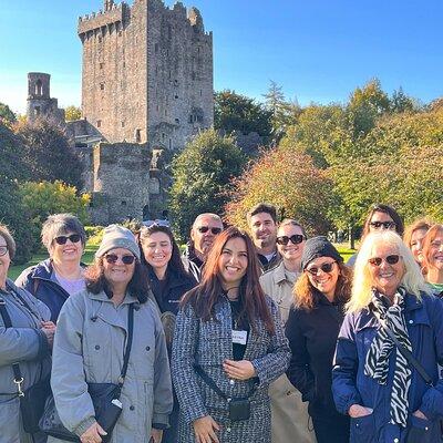 Easy Access Blarney Stone and Castle Gardens Tour 