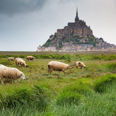 Private and Enchanted Escape to Mont-Saint-Michel from Le Havre