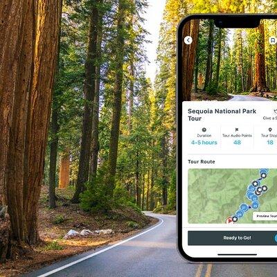 Shaka Guide: Sequoia National Park Audio Tour Guide