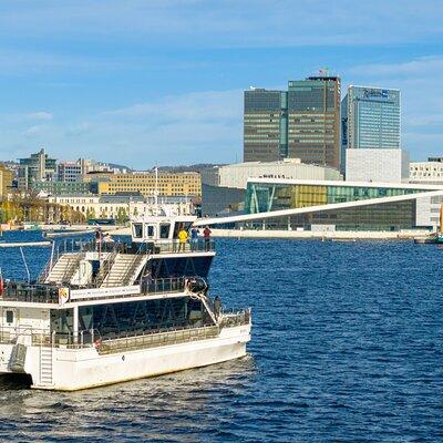 Guided Oslo Fjord Cruise by Silent Electric Catamaran