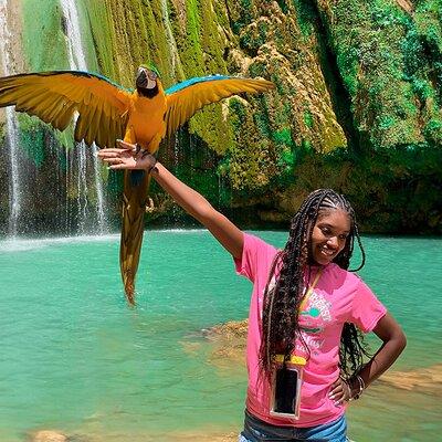 Adventure in Samaná: El Limón Waterfall, Playa Rincon Cayo Levantado