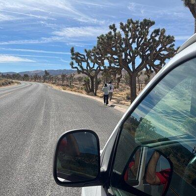 Sightseeing private tour of Joshua Tree National Park (Max 10)