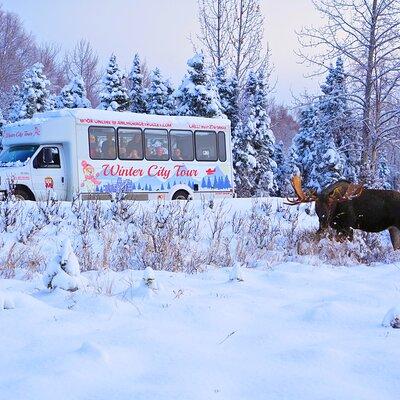 Anchorage's Winter City Tour = Sites + Bites + WildLife