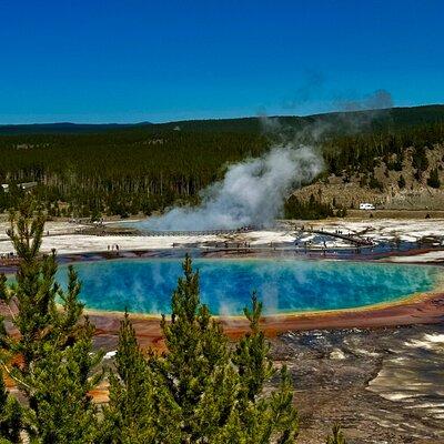 Full Day Private “Pet Friendly” Yellowstone Tour From Cody Wyo!