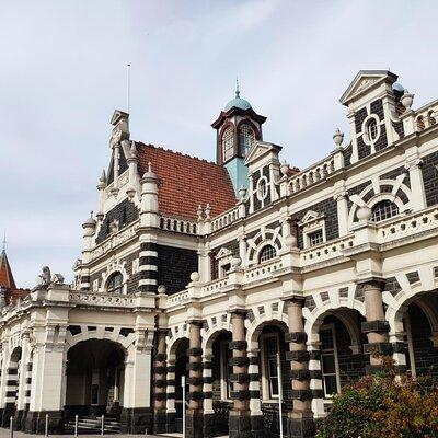 Dunedin City and Coastal Views 3-Hour Small-Group Guided Tour