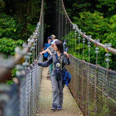 Mistico Park Hanging Bridges Guided Tour