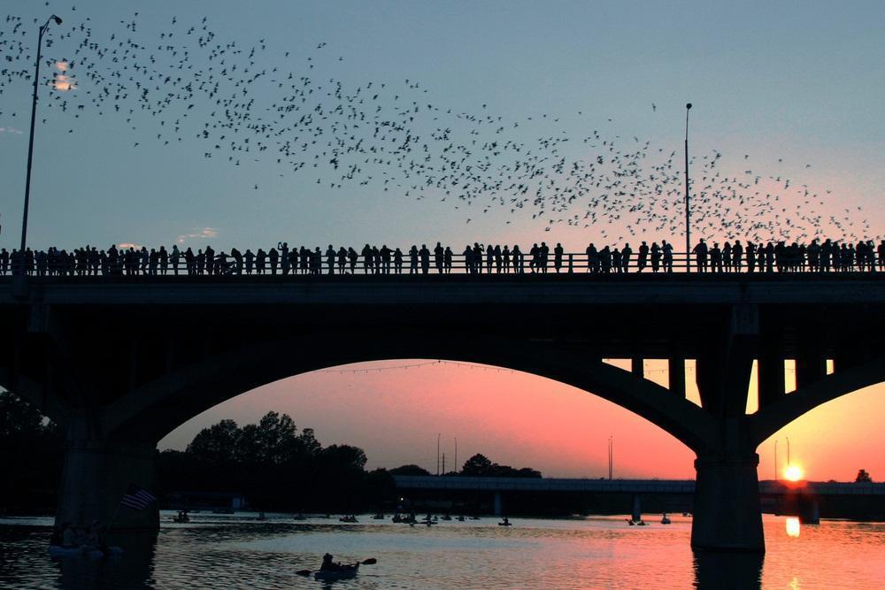 Congress Avenue Bridge (South Congress Bridge)