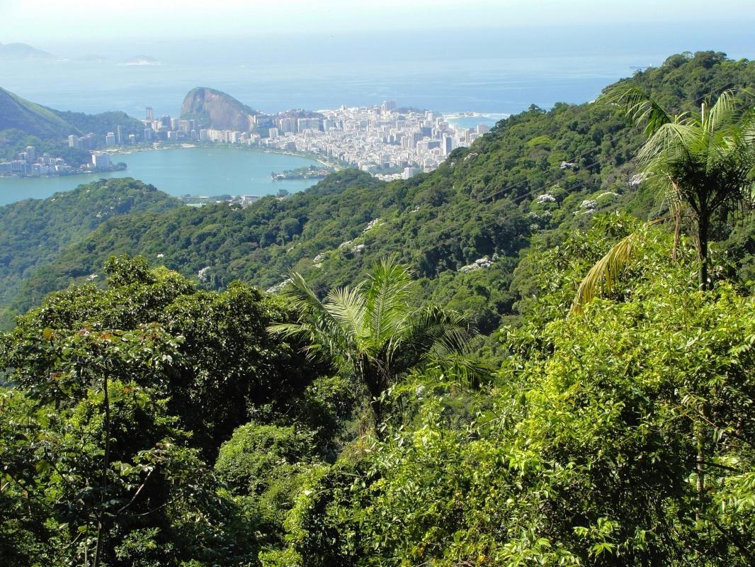 Tijuca National Park (Parque Nacional da Tijuca)