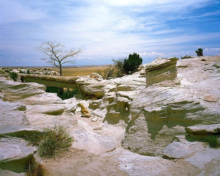 Petrified Forest National Park