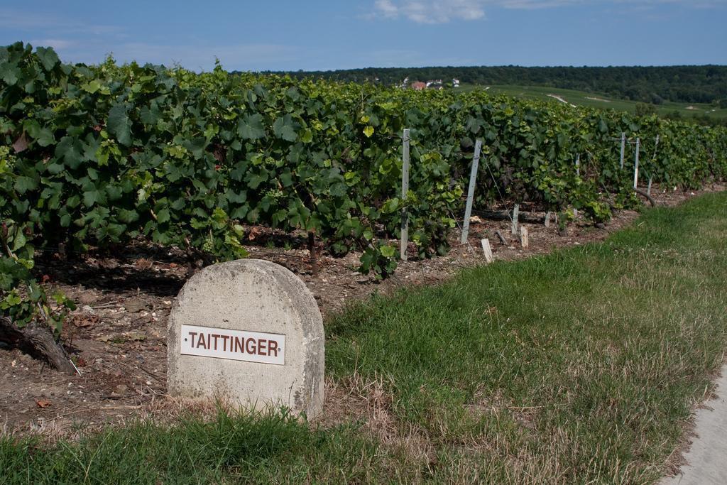 Taittinger Champagne House (Maison de Champagne Taittinger)