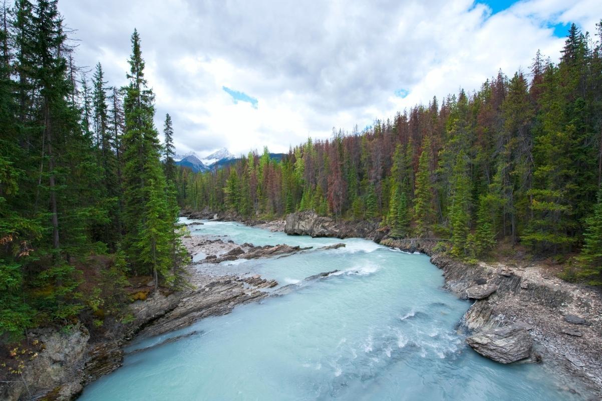 Kicking Horse River