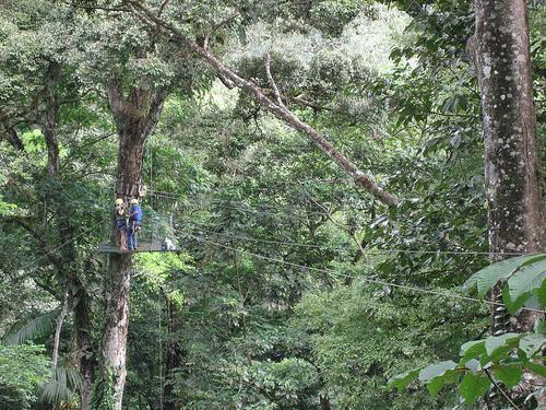 Sarapiqui Canopy