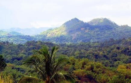 Blue Mountains