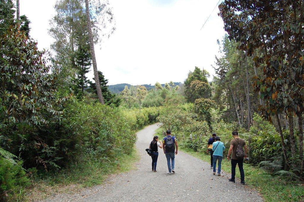 Arvi Park and Piedras Blancas Park (Parque Arvi y Parque Piedras Blancas)