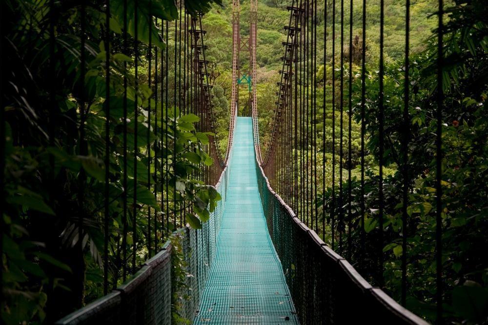 Mistico Arenal Hanging Bridges Park