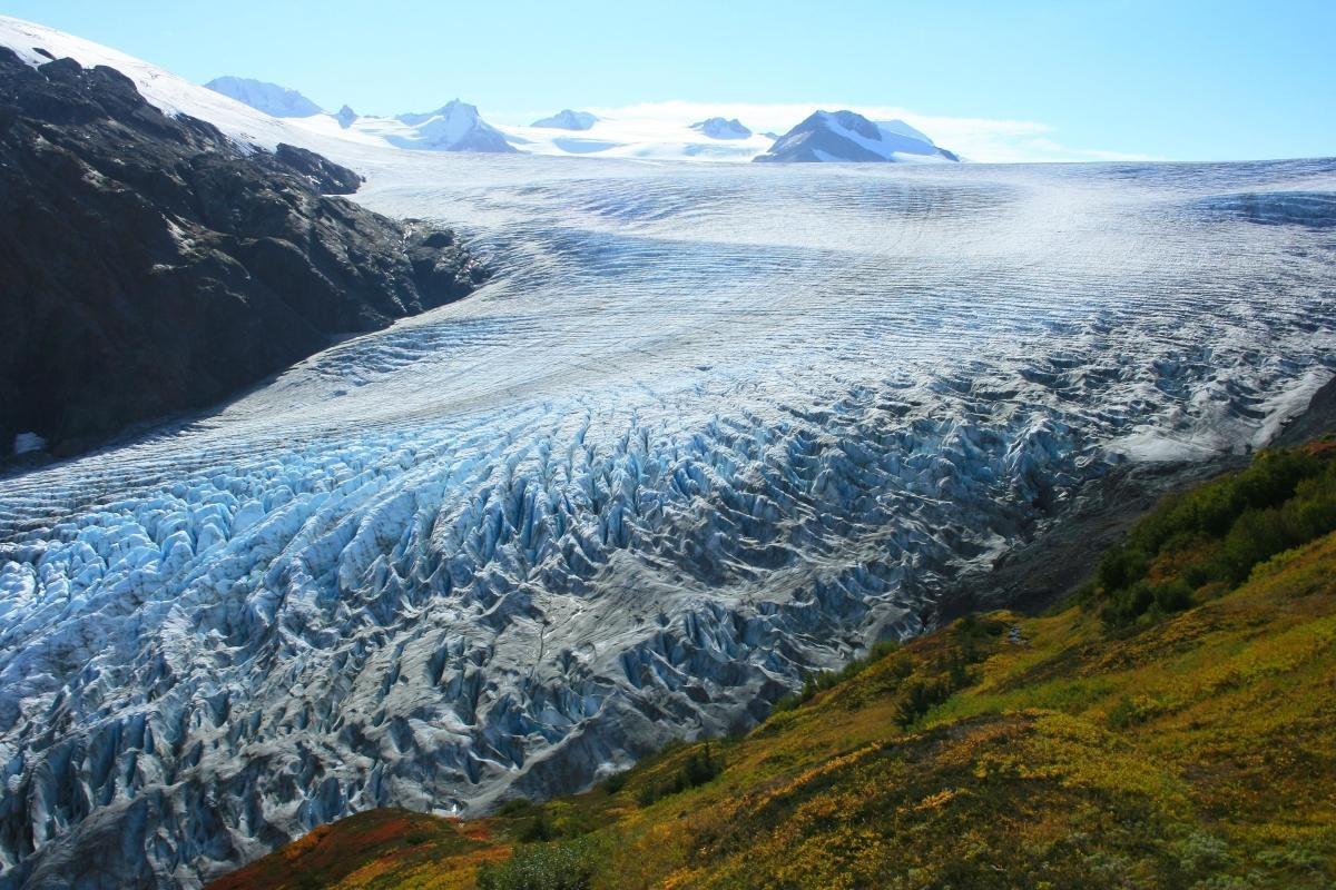 Exit Glacier