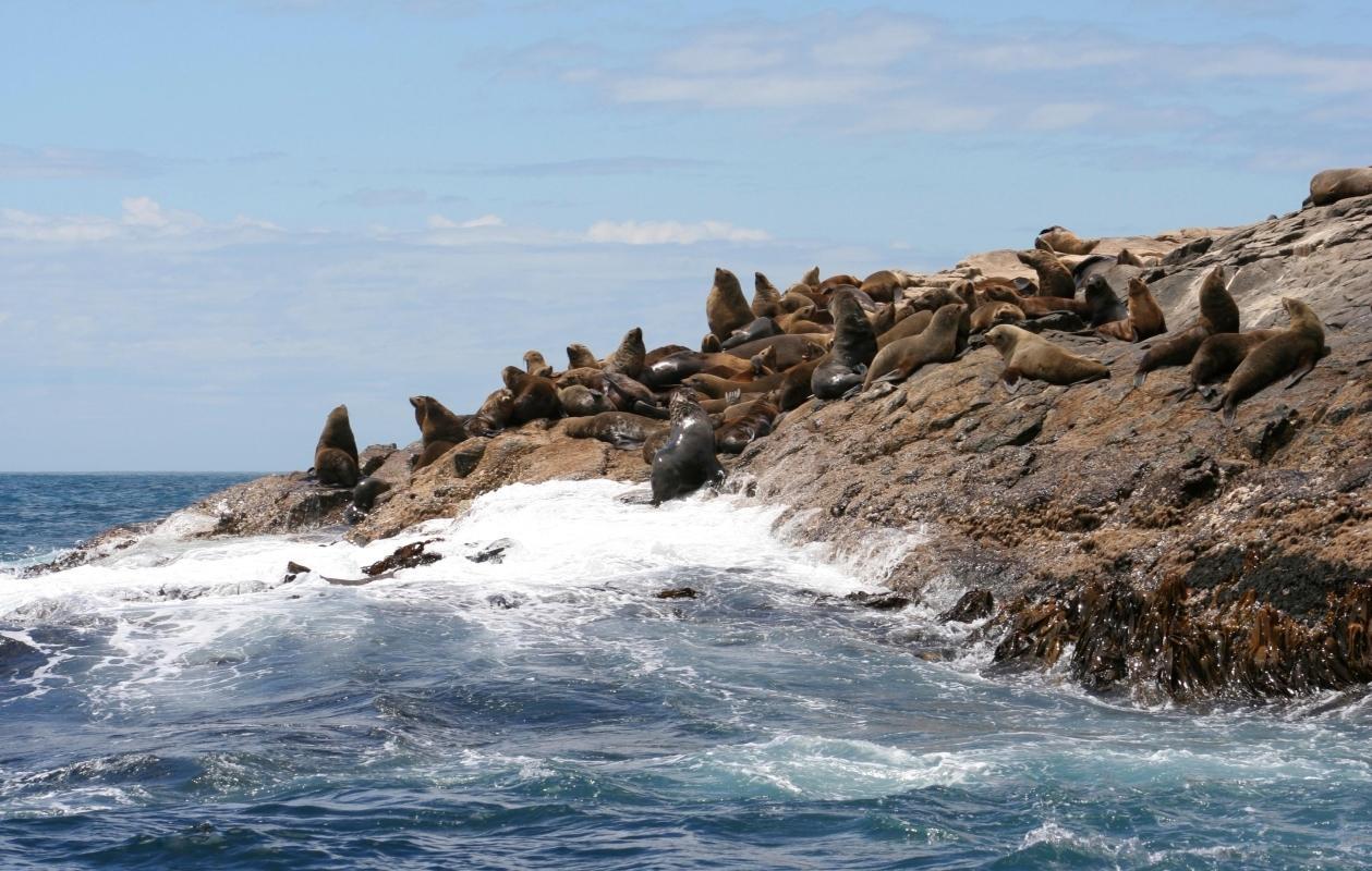 South Bruny National Park