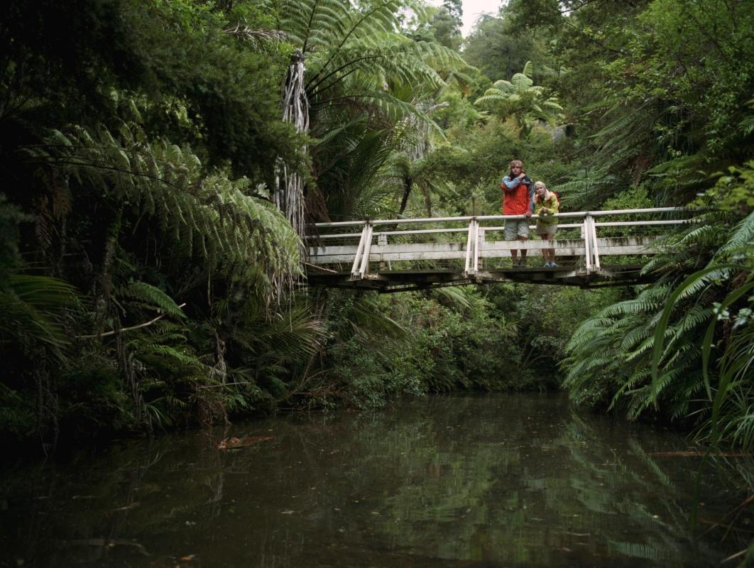 Waitakere Ranges