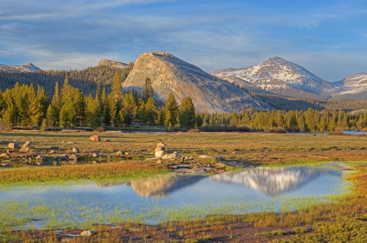 Tuolumne Meadows