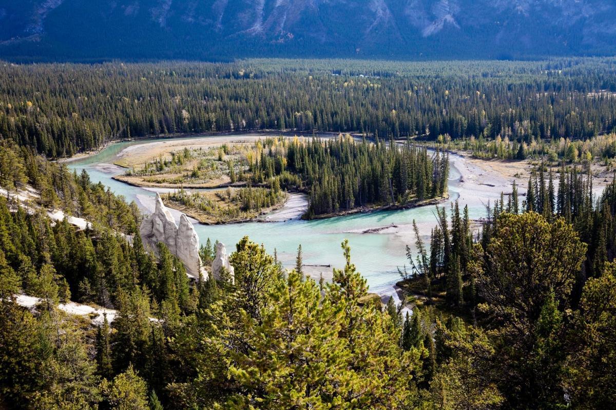 Tunnel Mountain Drive