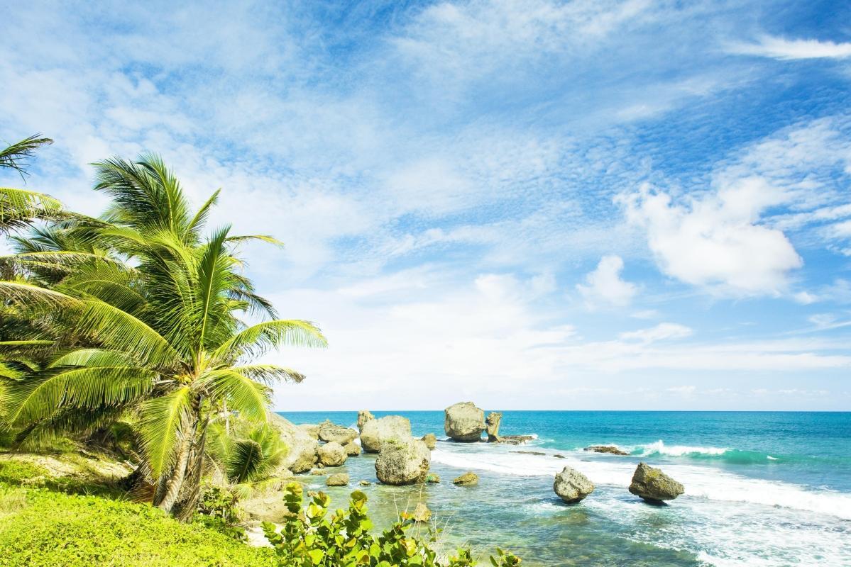 Bathsheba Beach