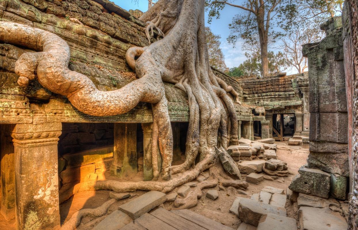 Ta Prohm