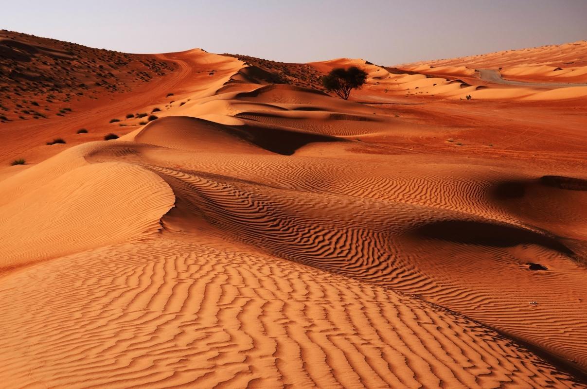 Wahiba Sands (Sharqiyah Sands)