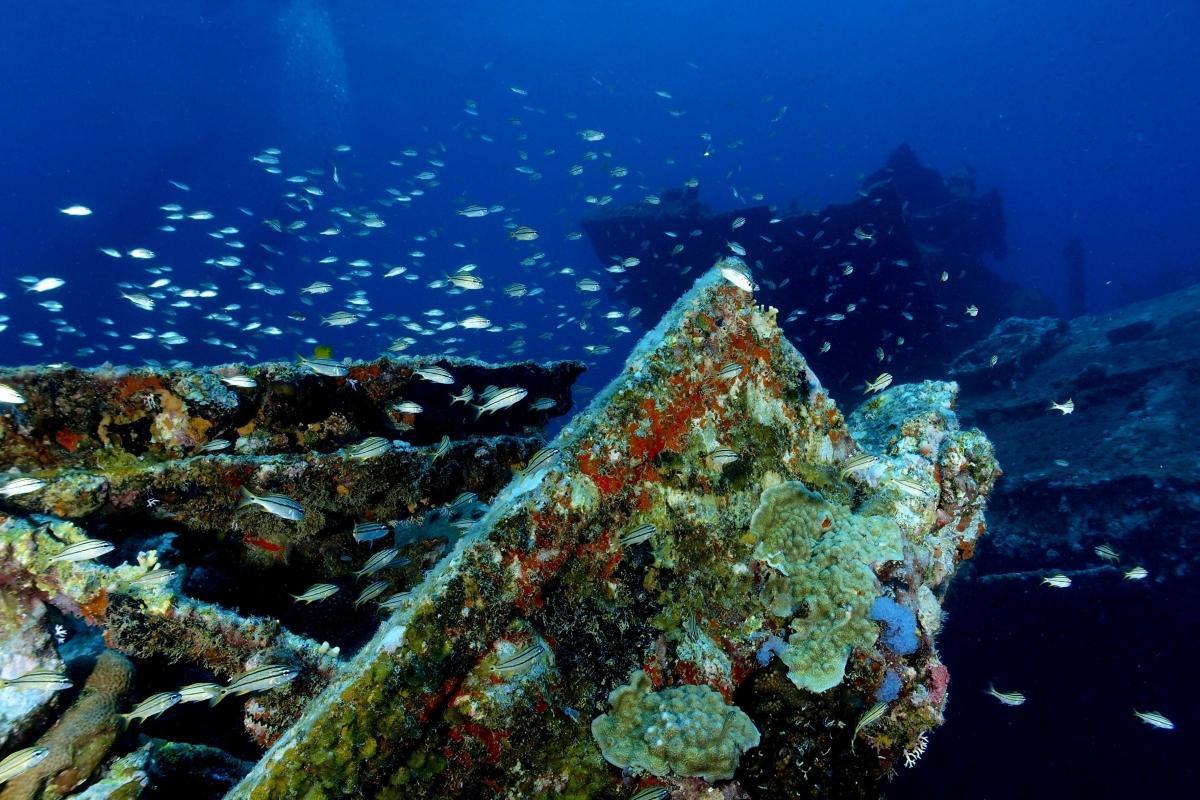 Antilla Shipwreck