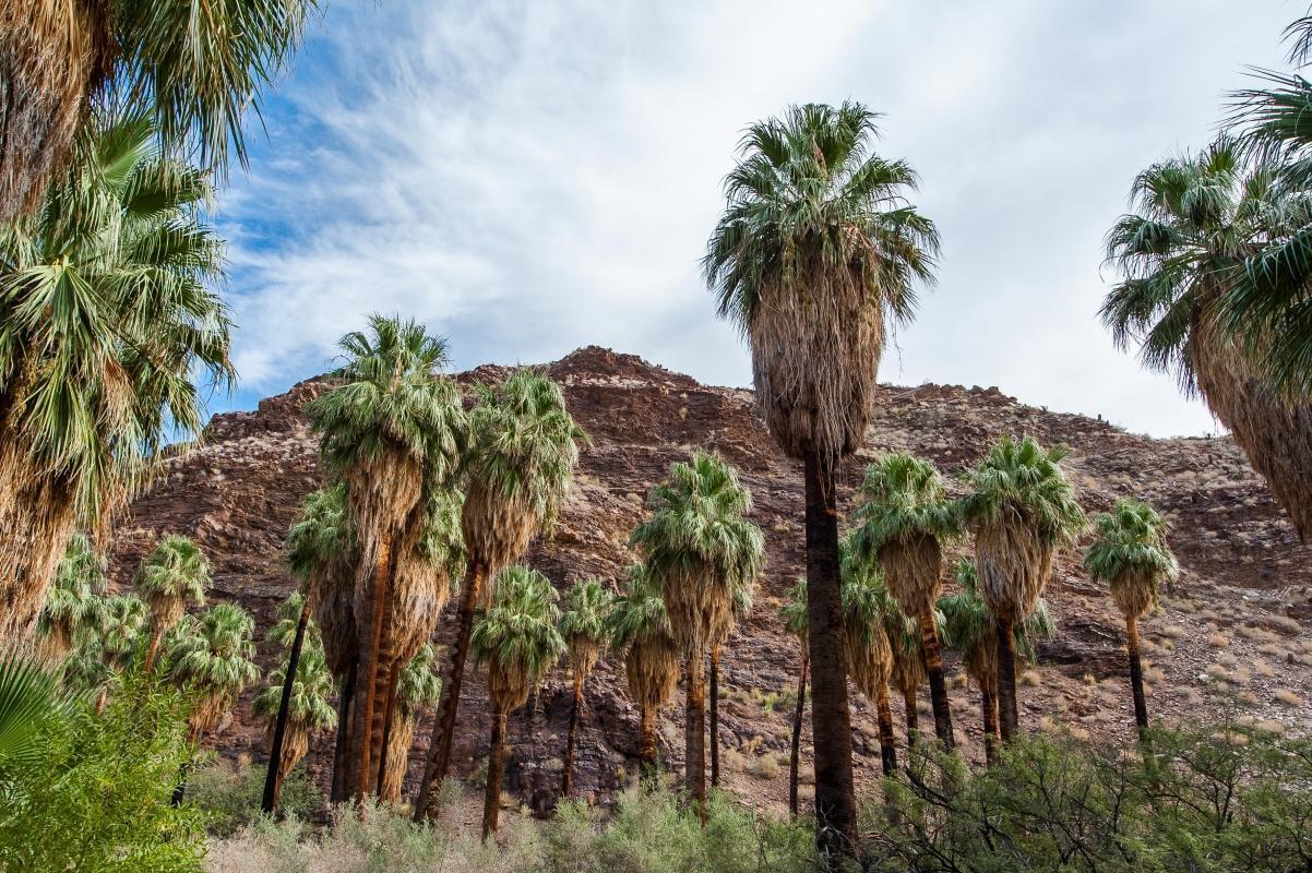 Indian Canyons