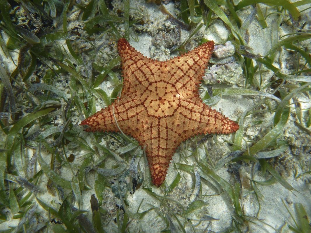 Punta Culebra Nature Center