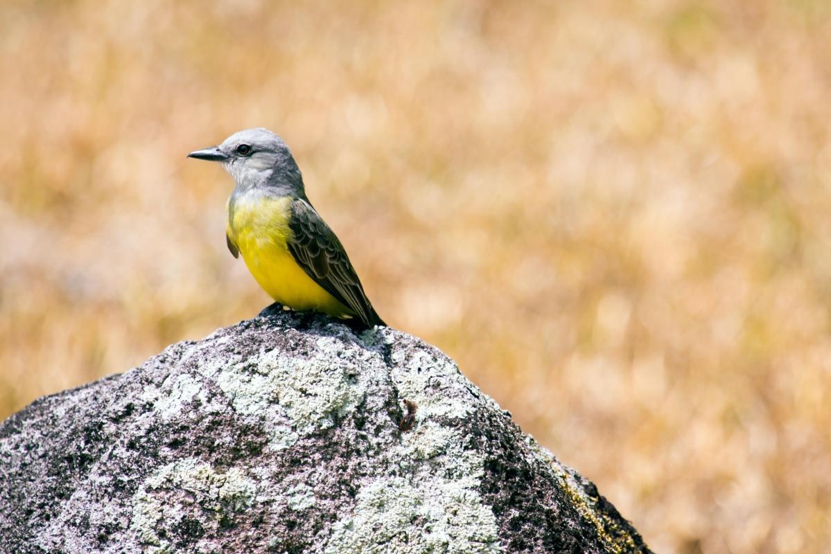 Soberanía National Park