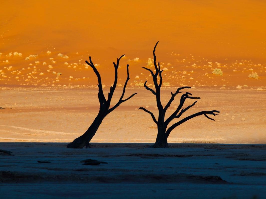 Deadvlei