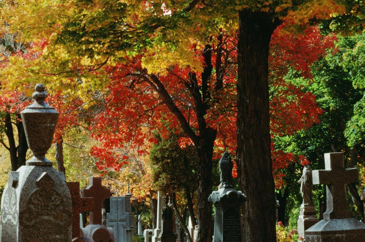 Mount Royal Cemetery (Cimetière Mont-Royal)