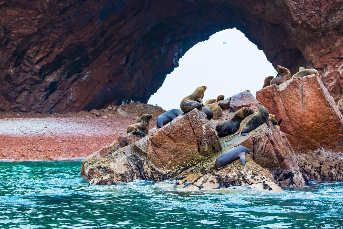 Ballestas Islands (Islas Ballestas)