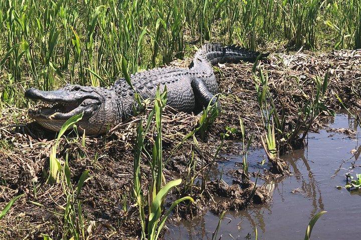 Jean Lafitte National Historical Park and Preserve