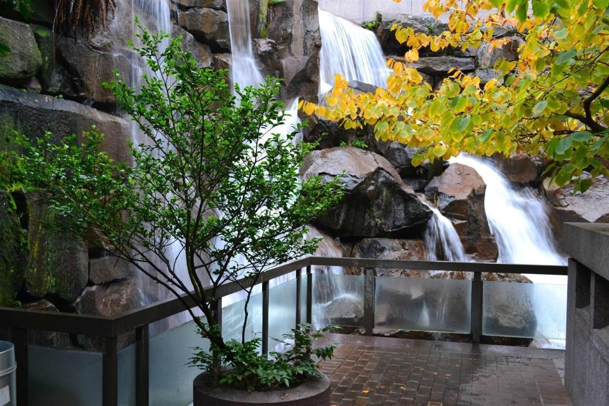 Waterfall Garden Park