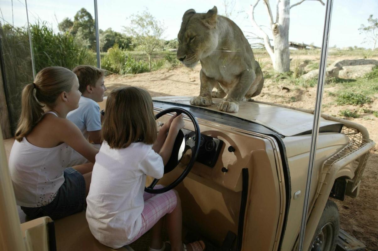 Werribee Open Range Zoo