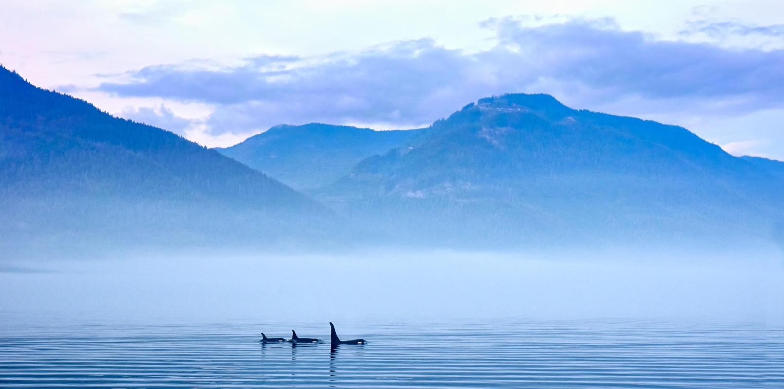 Strait of Juan de Fuca