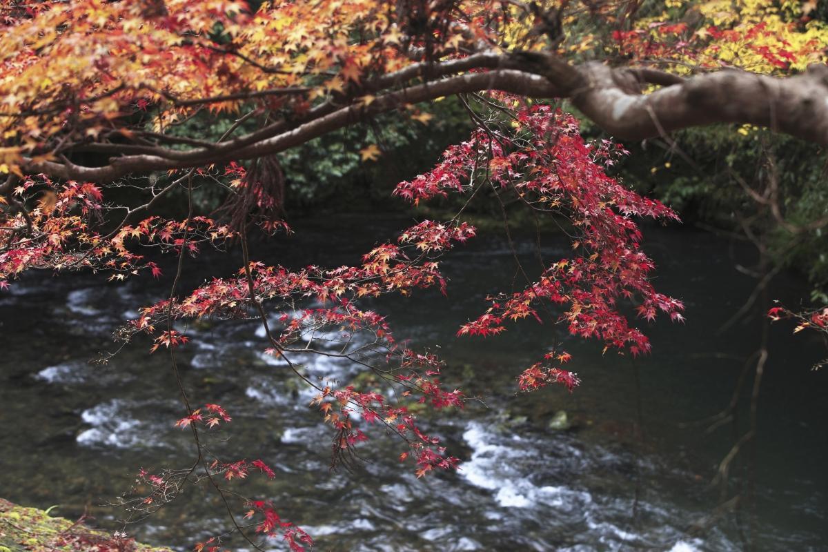 Kiyotaki River