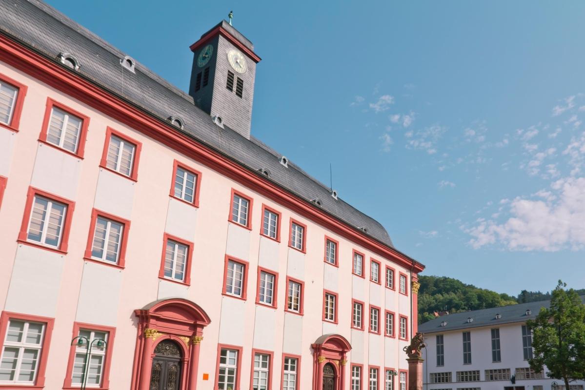 Old Heidelberg University (Alte Universitat)