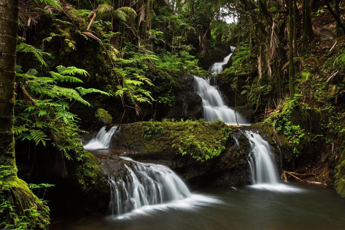 Hawaii Tropical Botanical Garden